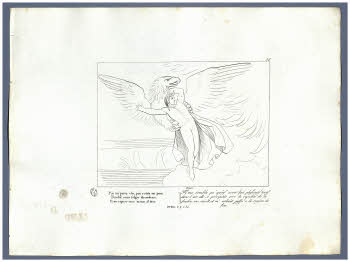 Visualizza l'immagine "Albo D 278, tav. 56"